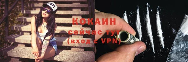 шишки Баксан