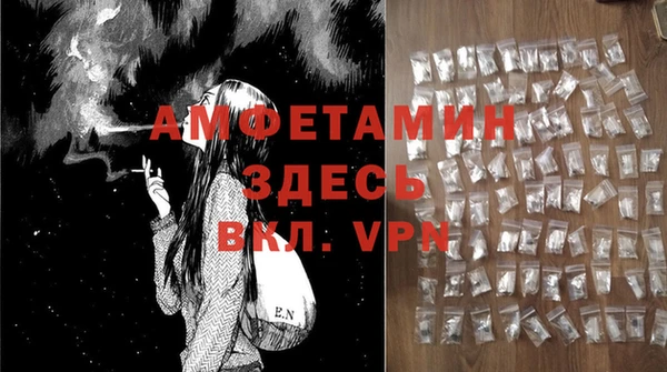 шишки Баксан