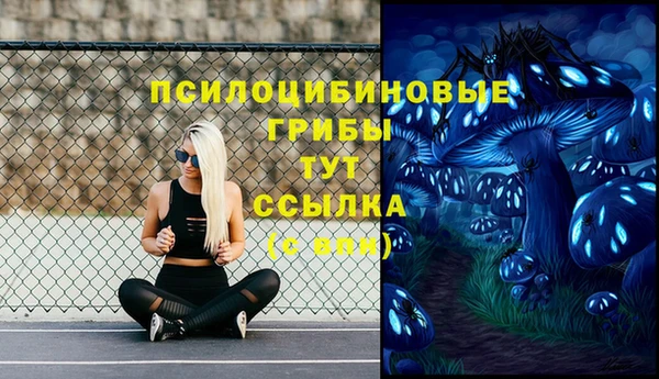каннабис Новодвинск